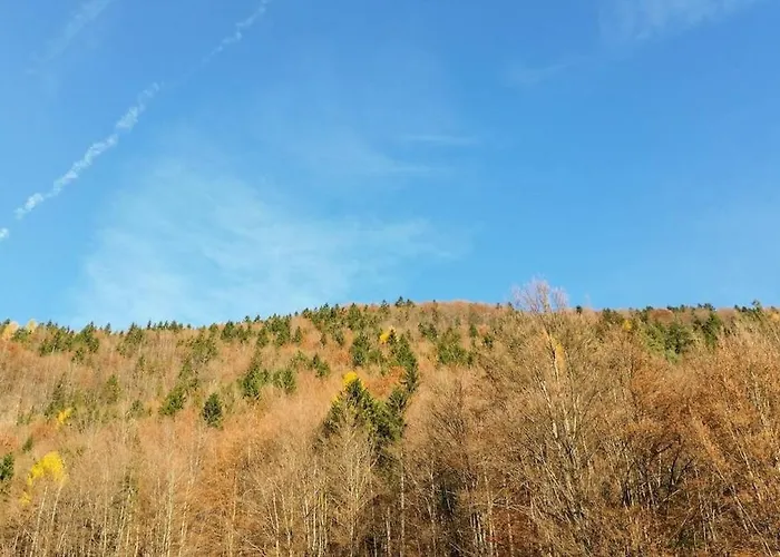 펜션 Cozy 3br Alpine House *